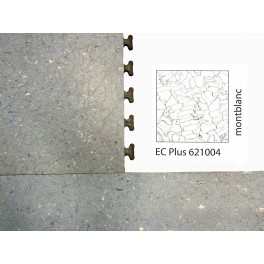 RAMPE D'ACCES FORBO BISEAUTEE POUR SOL COLOREX PLUS EC621004 MONTBLANC RAMPE D'ACCES FORBO BISEAUTEE POUR SOL COLOREX PLUS EC621004 MONTBLANC