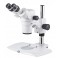 STEREO MICROSCOPE